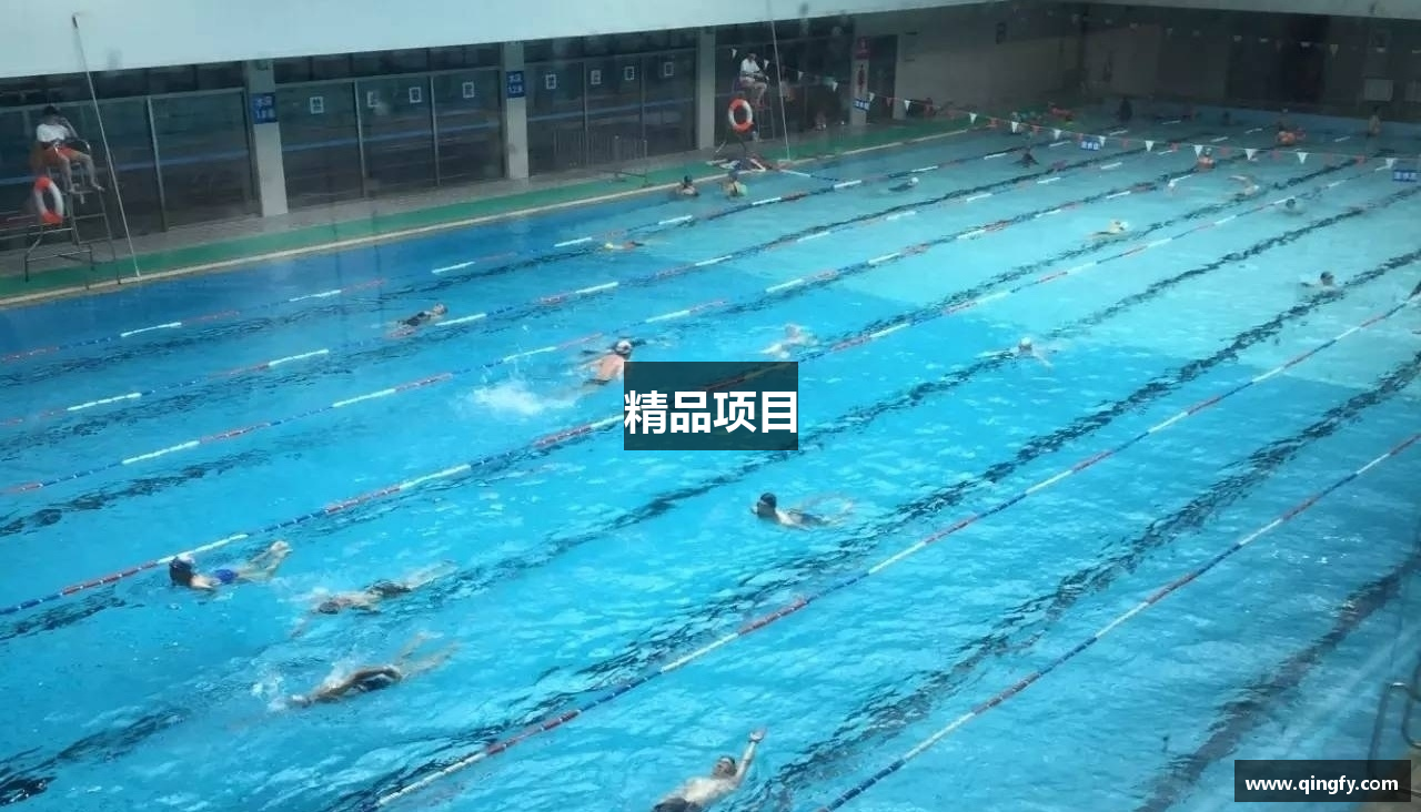 精品项目